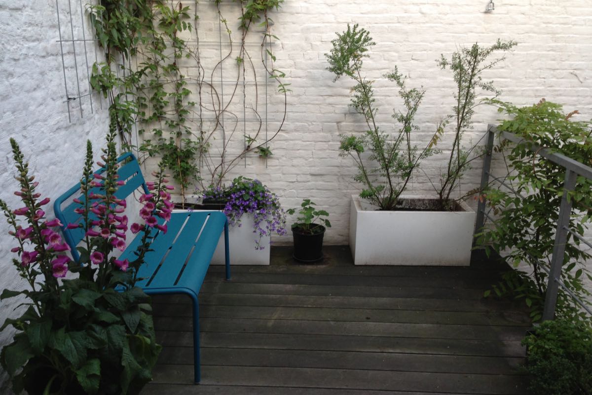 Afbeelding van je resultaat