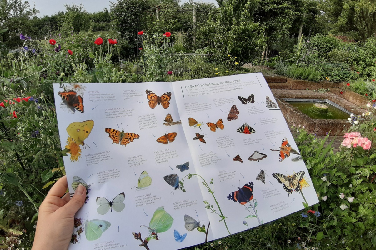 Afbeelding van je resultaat